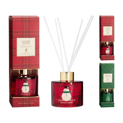 DIFFUSORE PROFUMO 100ML 2ASS